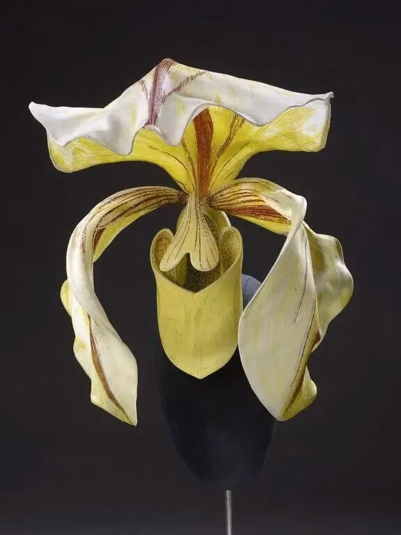 Orchid hat — Philip Treacy, 2011