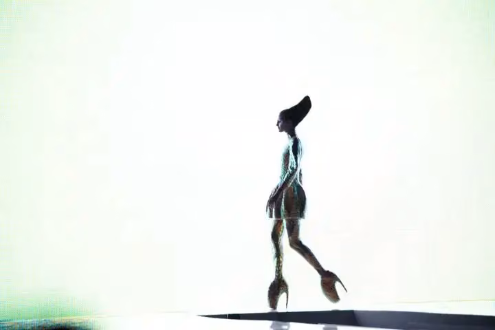 Jellyfish ensemble — Alexander McQueen, Spring/Summer 2010